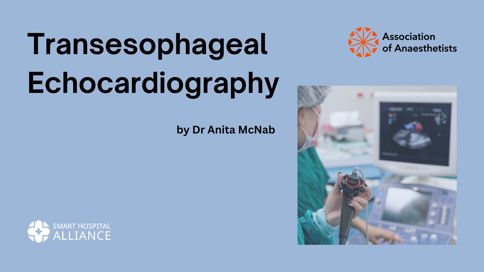 Transesophageal Echocardiography by Dr Anita McNab SHA_11